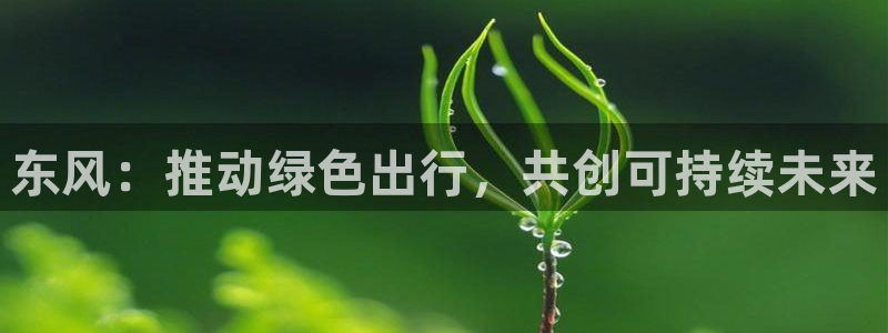 球盟会头号玩家是谁