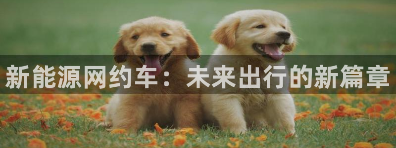 千亿球盟会乐玩