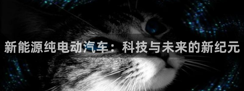 球盟会官方网址入口