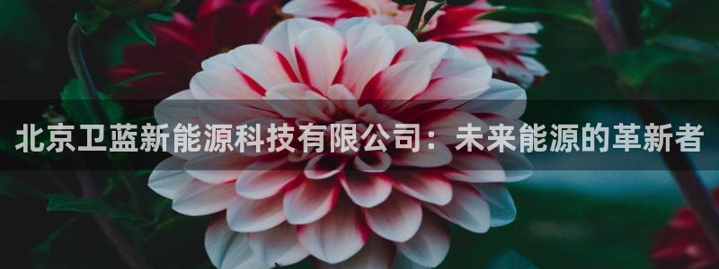 球盟会黑款吗知乎文章