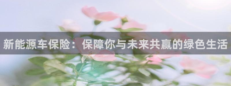 球盟会网页版登陆
