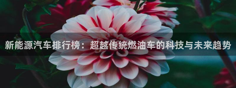 球盟会黑台子吗