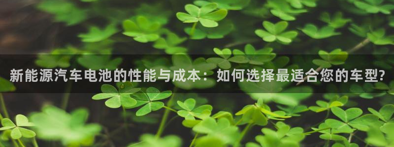 球盟会黑款吗知乎小说