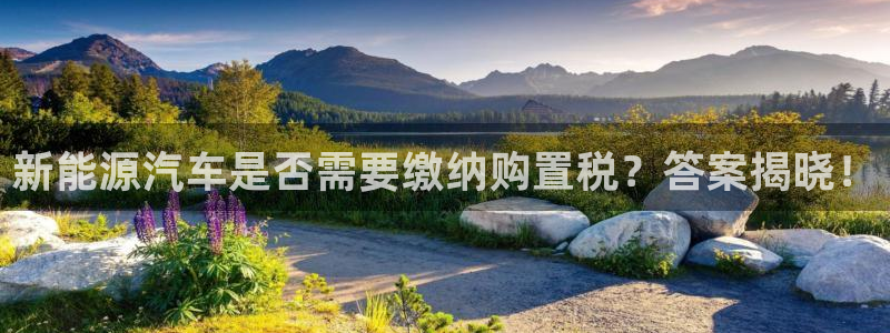 球盟会黑钱：新能源汽车是否需要缴纳购置税