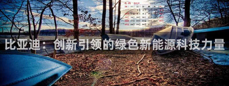 球盟会黑款吗是真的吗