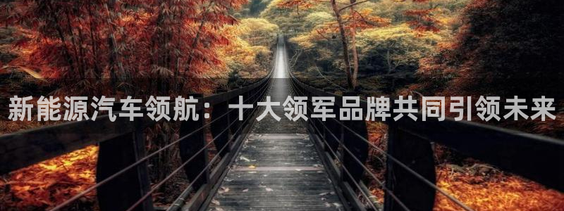 球盟会黑款吗是真的吗：新能源汽车领航：十
