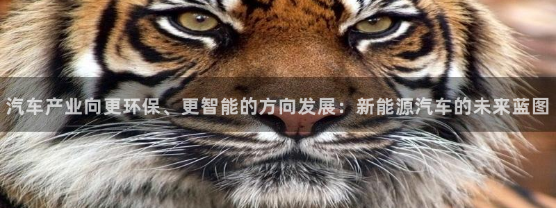 球盟会综合app下载：汽车产业向更环保、