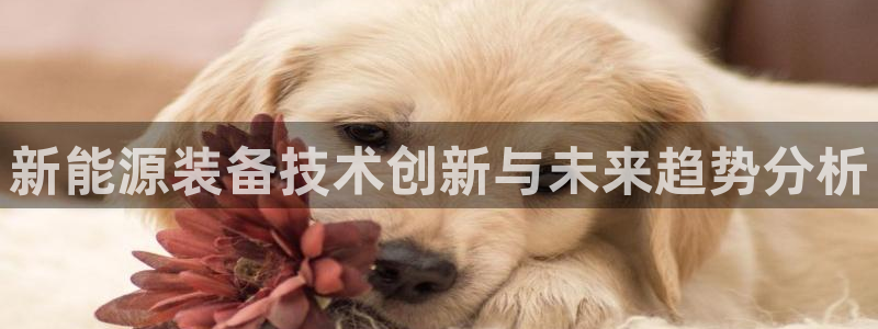 球盟会下款快吗