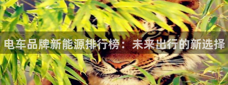 球盟会福利码2023最简单三个步骤