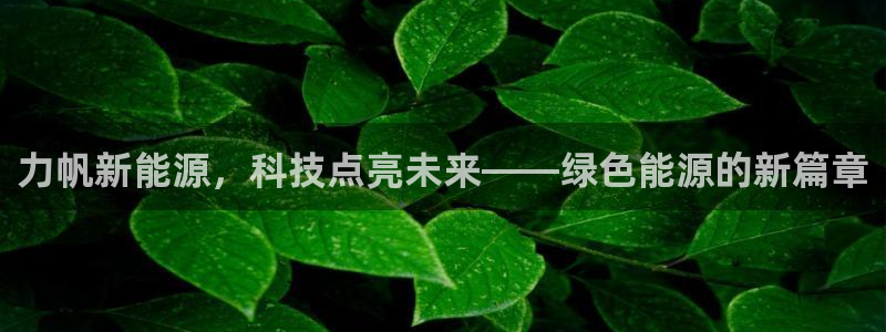 球盟会用的客服聊天是哪个软件