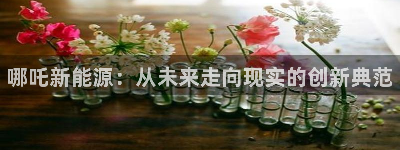 球盟会app网址多少号