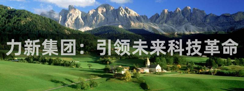 球盟会有没有黑单的球员：力新集团：引领未