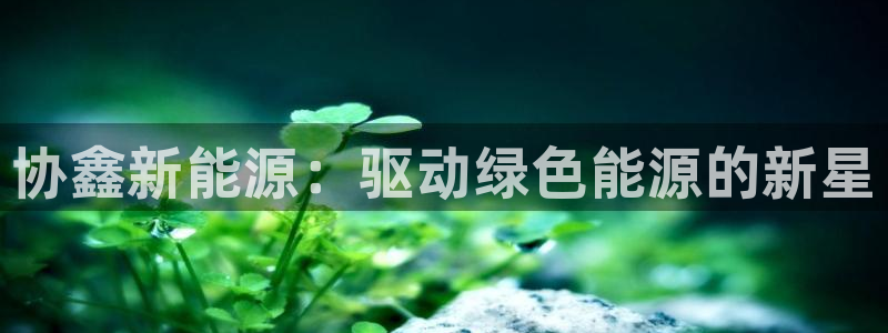 球盟会连接
