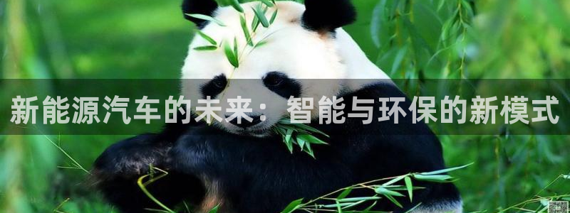球盟会和中欧合作吗