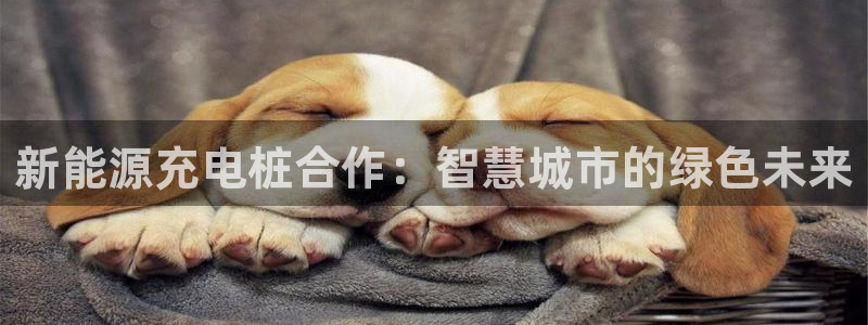 球盟会网址多少