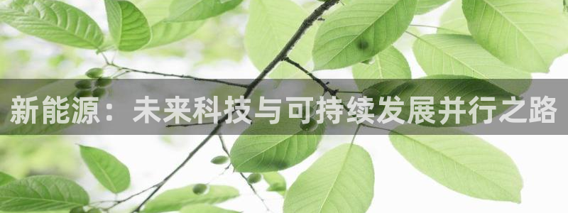球盟会APP最新地址