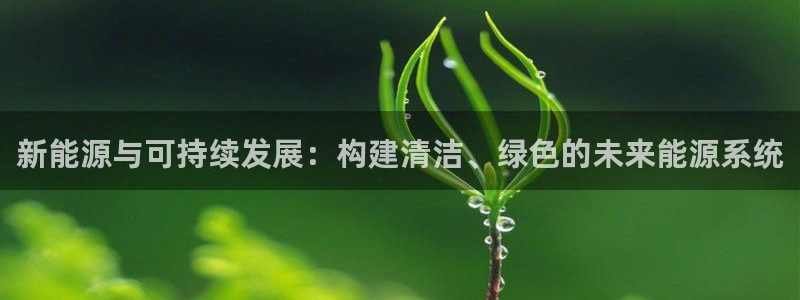 球盟会最新：新能源与可持续发展：构建清洁