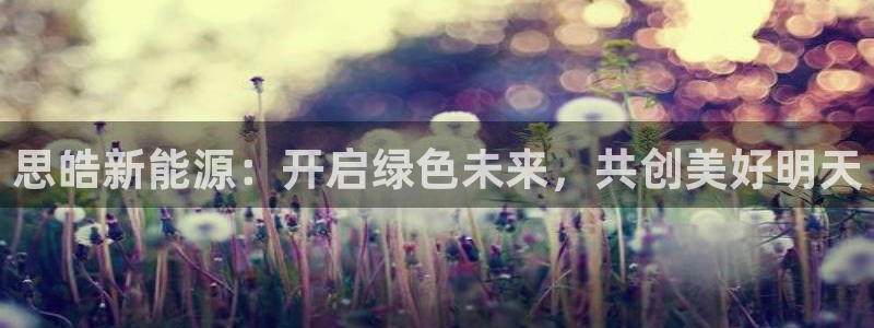 球盟会头号玩家