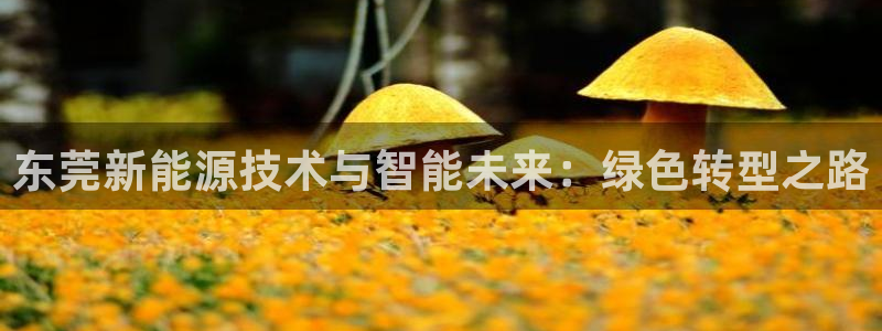 球盟会能提现吗：东莞新能源技术与智能未来