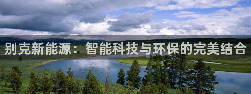 球盟会中国网页登录：别克新能源：智能科技