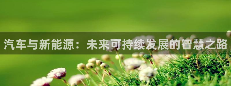 球盟会官方版下载地址：汽车与新能源：未来