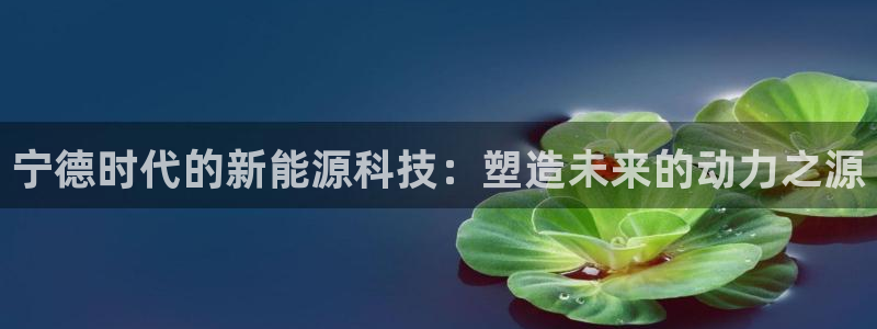 球盟会qmh网页版登录：宁德时代的新能源