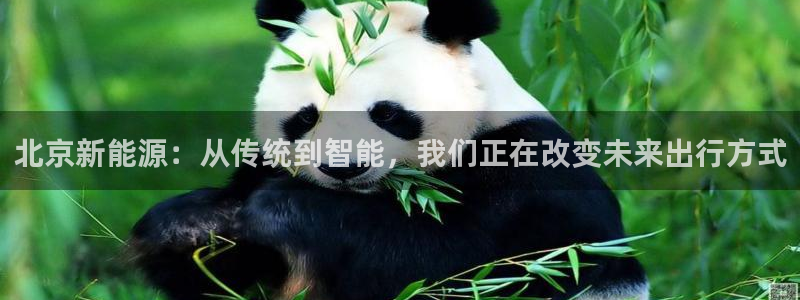 球盟会黑款吗知乎：北京新能源：从传统到智