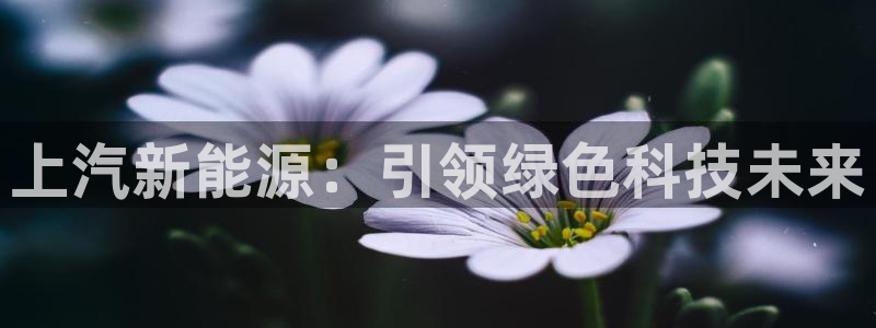 球盟会app最新地址下载：上汽新能源：引