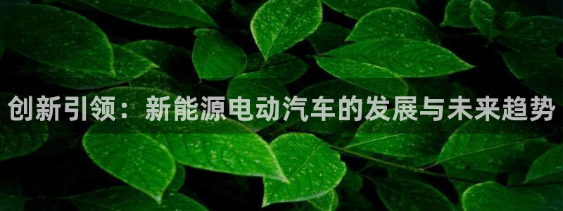 球盟会地址：创新引领：新能源电动汽车的发