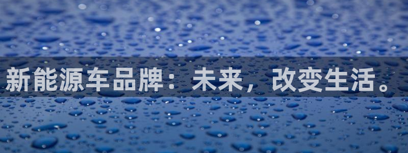 球盟会登录平台入口：新能源车品牌：未来，