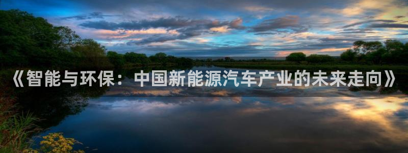 球盟会连接：《智能与环保：中国新能源汽车