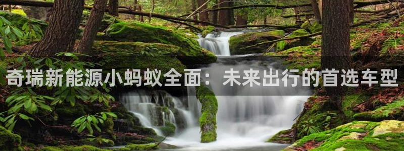 球盟会APP官网：奇瑞新能源小蚂蚁全面：