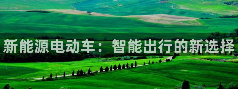 球盟会可靠不：新能源电动车：智能出行的新