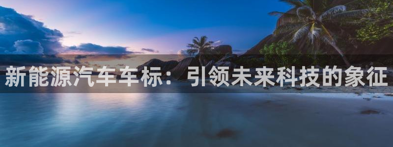 球盟会有没有黑单的人：新能源汽车车标：引