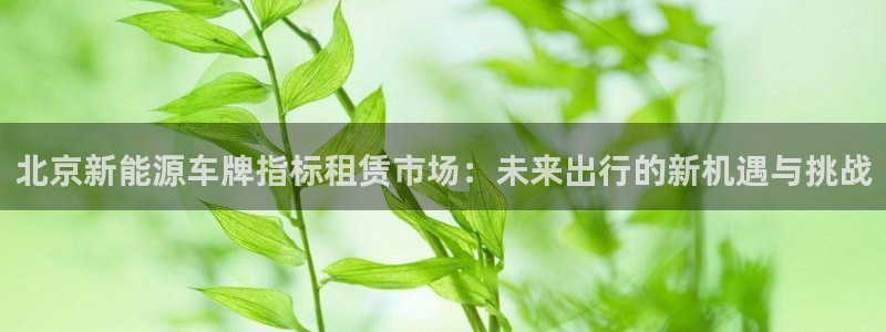 球盟会下款快吗：北京新能源车牌指标租赁市