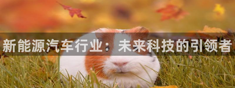 球盟会qmh电子网页版登录：新能源汽车行