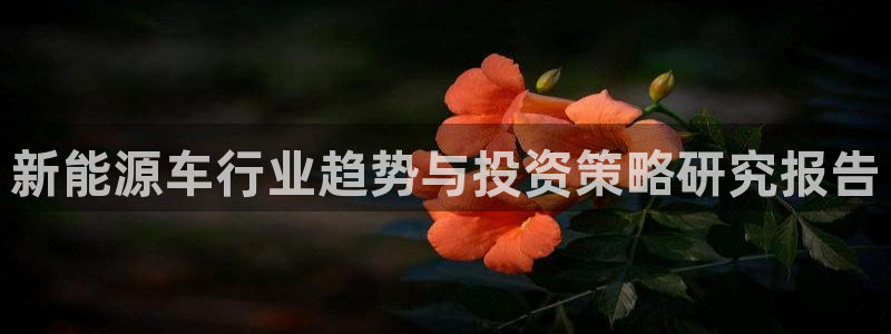 球盟会提款支付宝怎么样：新能源车行业趋势