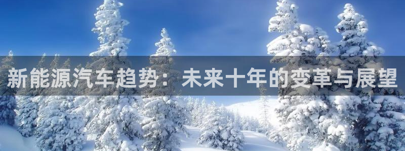 球盟会有没有黑单的：新能源汽车趋势：未来